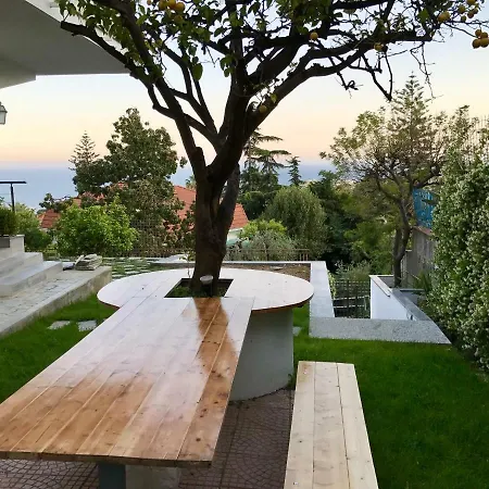 Διαμέρισμα Mimosa - Large Luxury For Two Families!